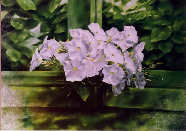 Картины художника Добровой Анны