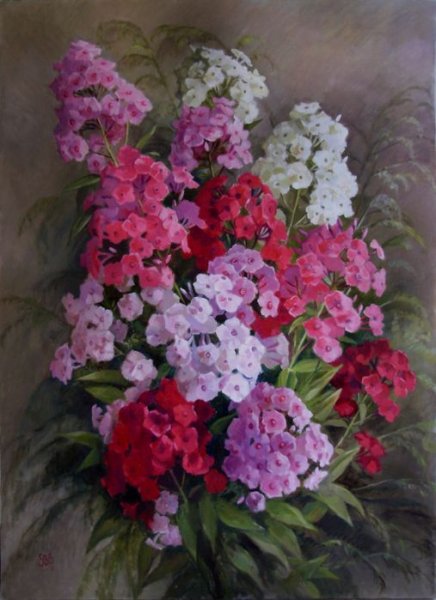 Светлана Родионова пионы