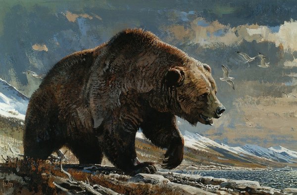 Картина медведь