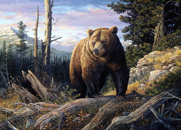 Художники-анималисты бурый медведь