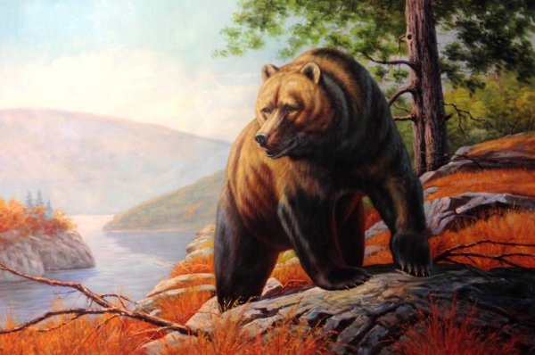 Картина медведь