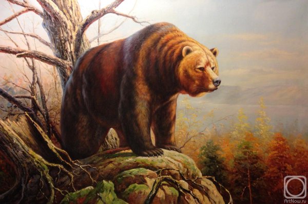 Медведь в искусстве