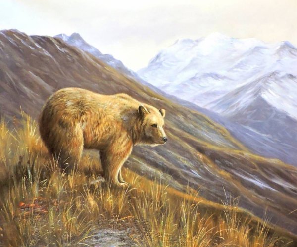 Картина медведь