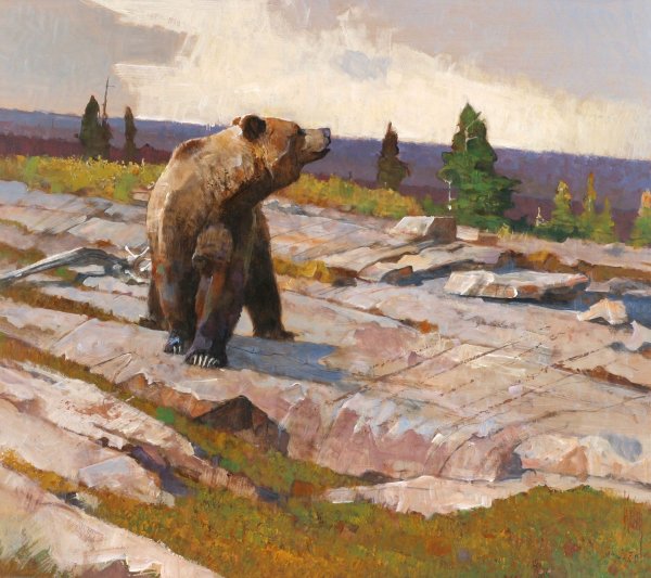 Картины анималистов медведи