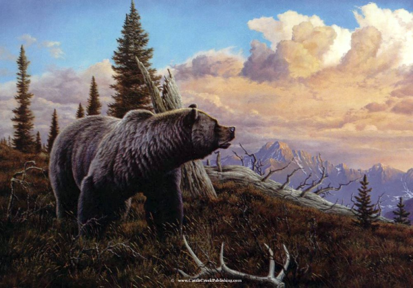 Татьяна Данчурова хозяин тайги