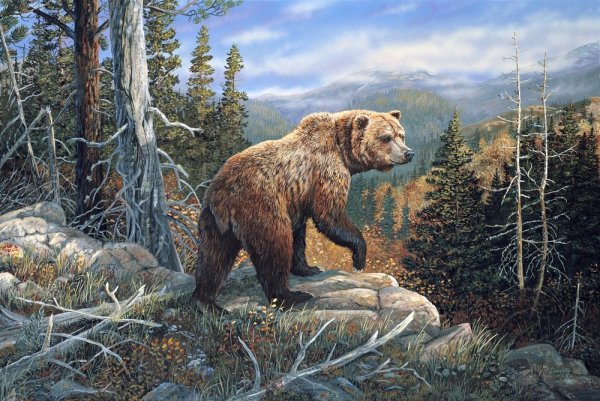 Медведь маслом