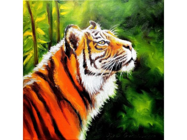 Тигр маслом