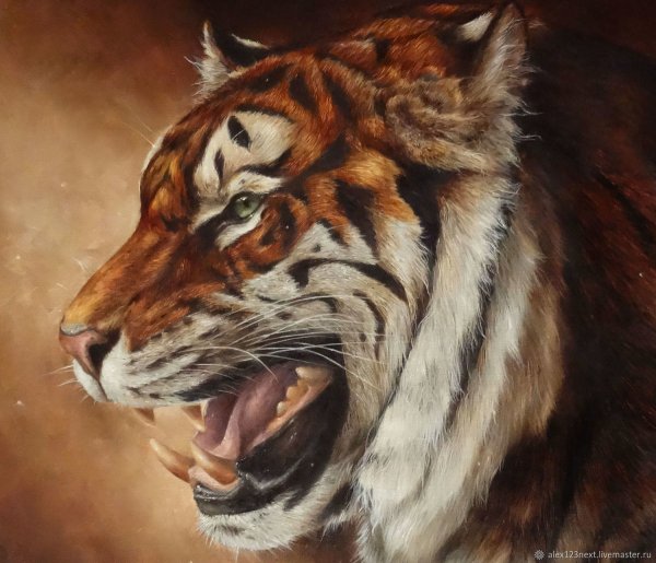 Амурский тигр картина