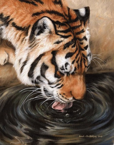 Художник Sarah Stribbling