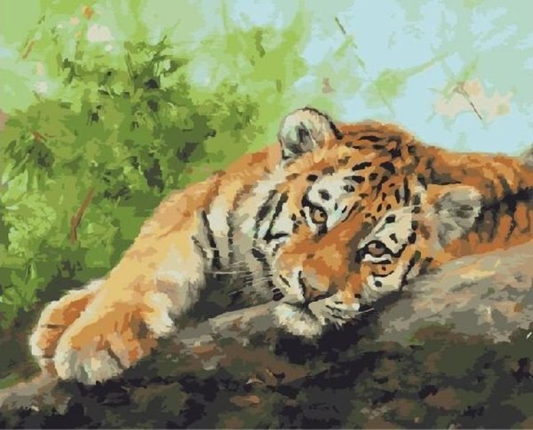Тигр картины художников