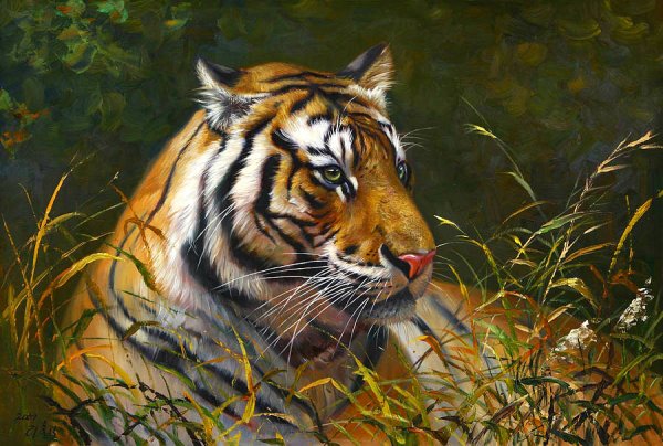 Тигр живопись