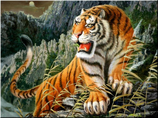 Тигр на скале