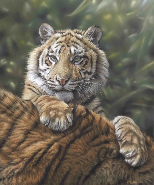 Joseph Hautman художник тигр