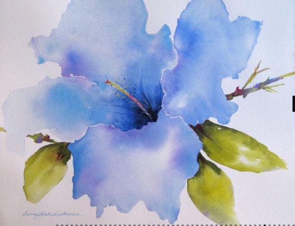 Акварель по СЫРОМЦВЕТЫ