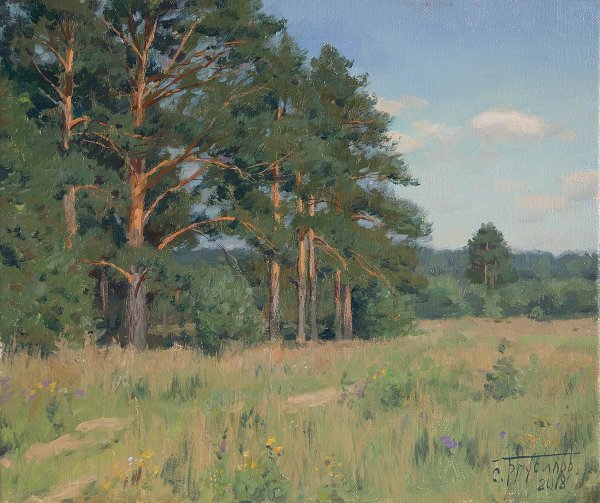 Станислав Александрович Брусилов