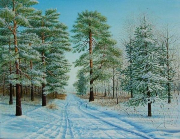 Сосны в снегу живопись
