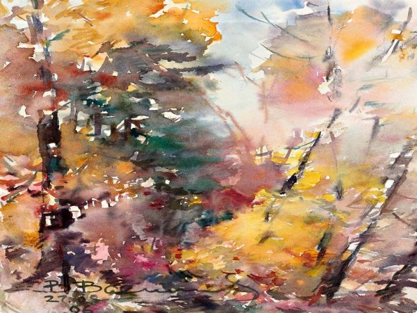 Картины Владимира Васильева артиста балета