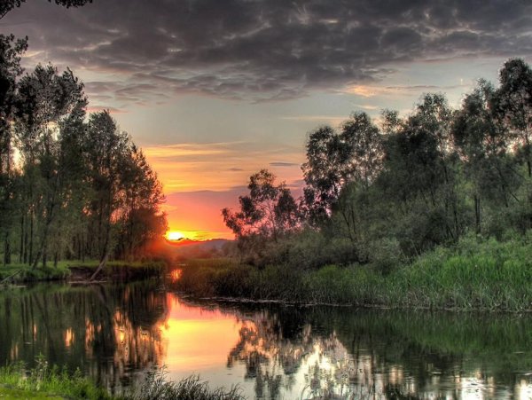 Картины маслом закат