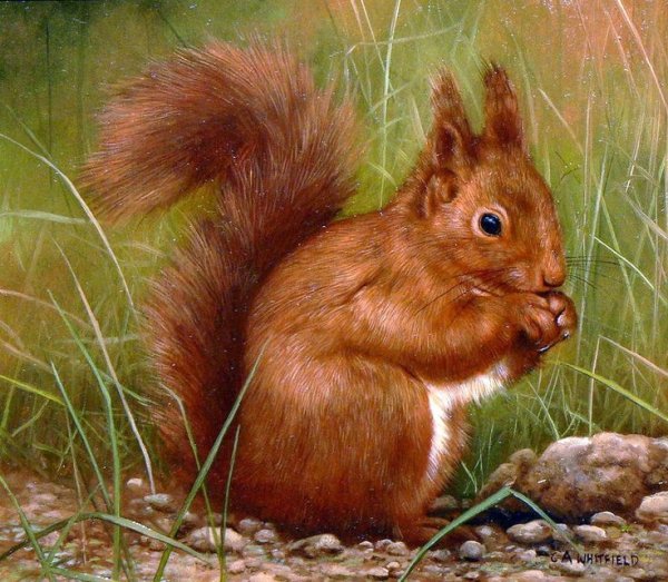 Художник Carl Andrew Whitfield