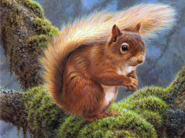 Живопись белки