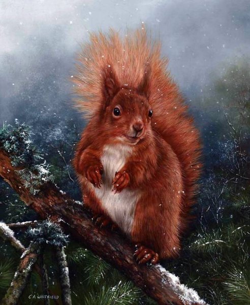 Carl Andrew Whitfield