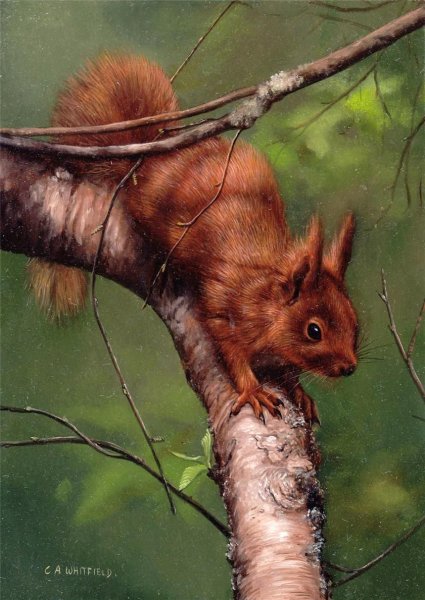 Художник Carl Whitfield (b.1958)