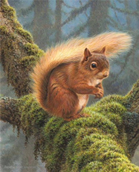 Художник Andrew Hutchinson картины