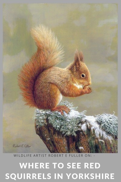 Белка искусство