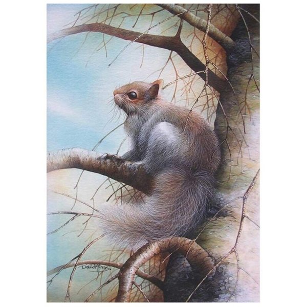 Художник дикой природы Дэвид Финни (David a. Finney)