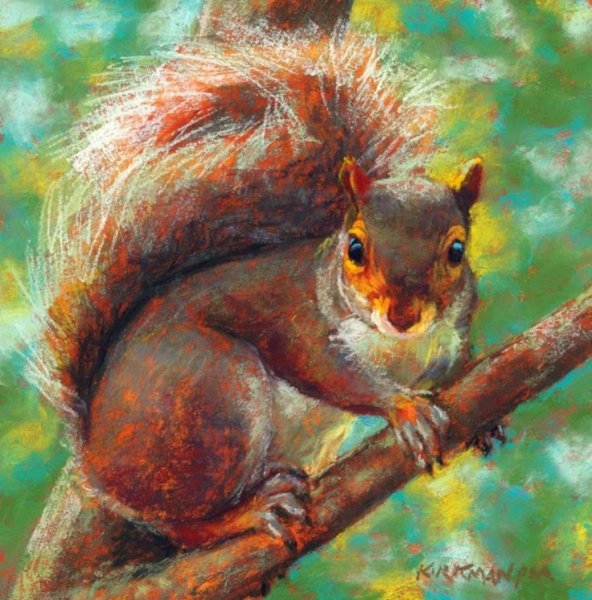 Белочка пастелью