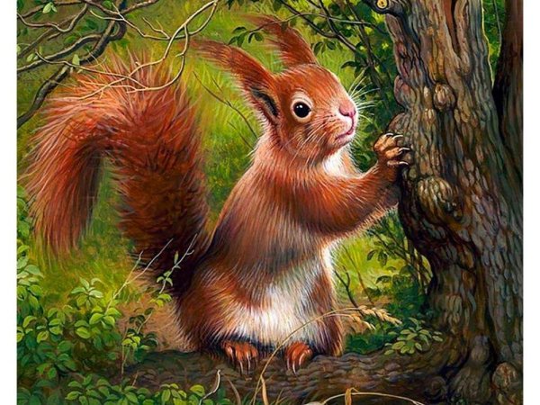 Живопись белки