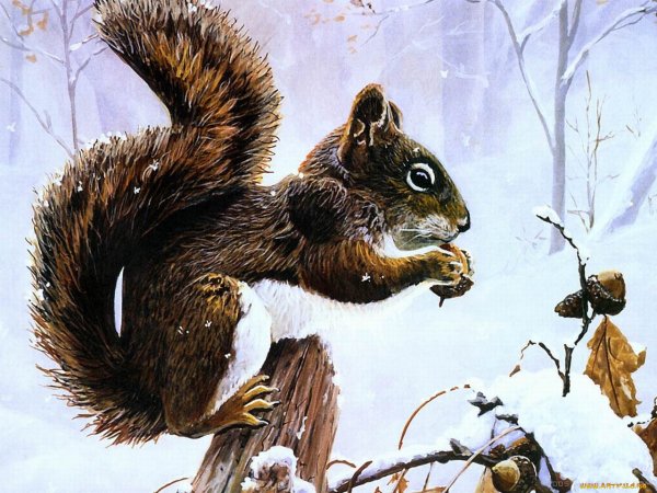 Белка в лесу живопись