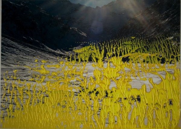 Китайские художники абстракционисты