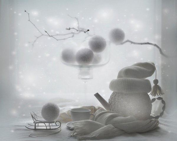 Зимний натюрморт