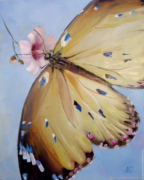 Бабочка маслом