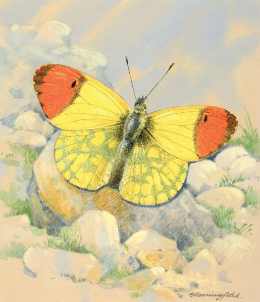 Gordon Beningfield картины