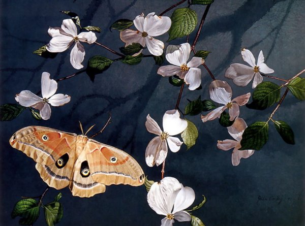 Бабочки картины художников