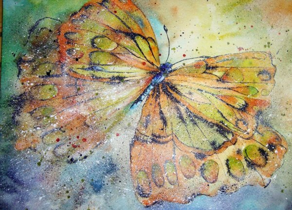 Бабочки живопись акварелью