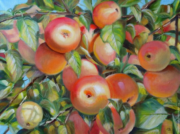 Серебрякова яблоня