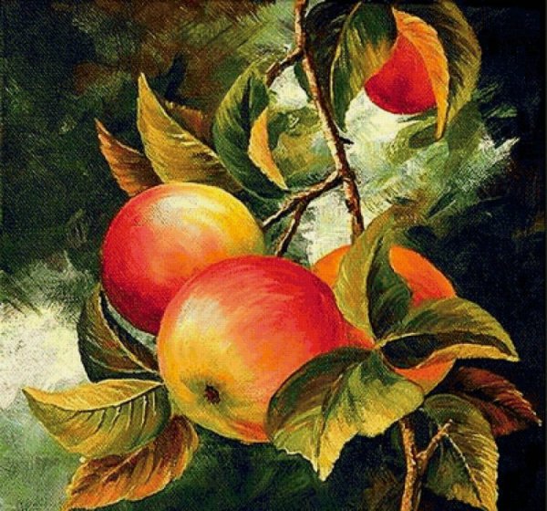 Варвара Хармон художник