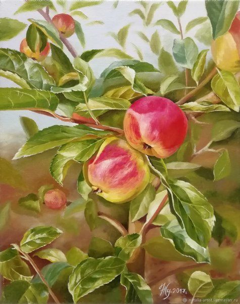 Яблоня живопись