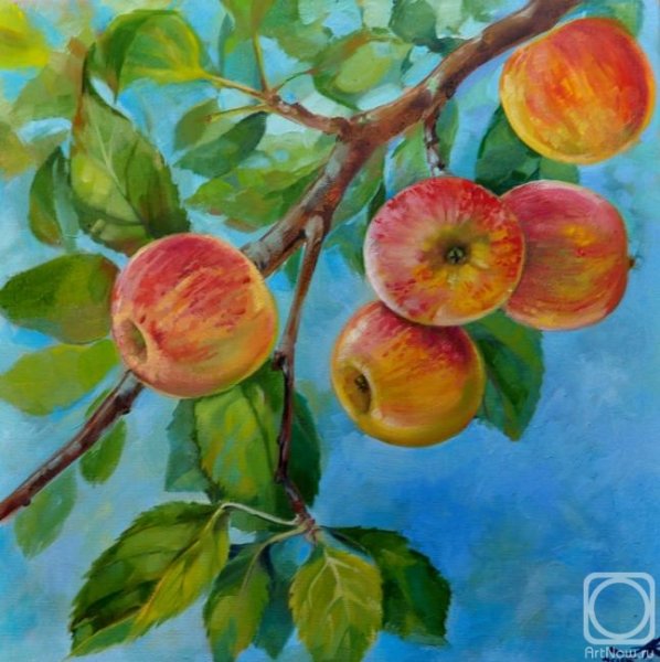 Яблоня гуашью