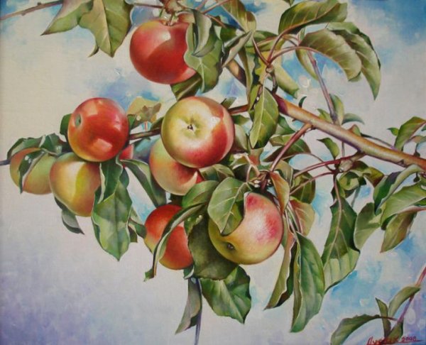 Антоновские яблоки натюрморт