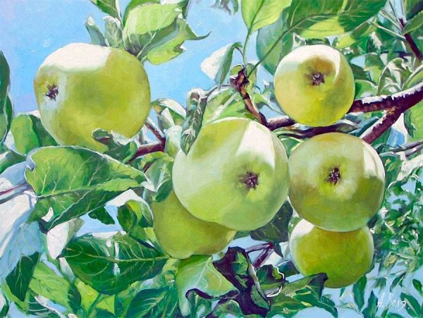Картина яблоки на ветке