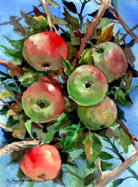Яблони живопись август Абакумов