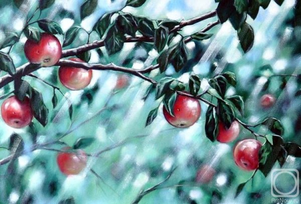 Художник Susan Bourdet. Акварель