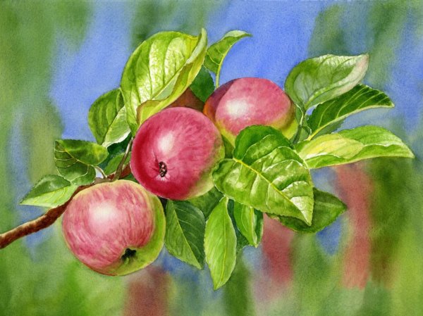 Аполлинарий Васнецов @ветка с яблоками&