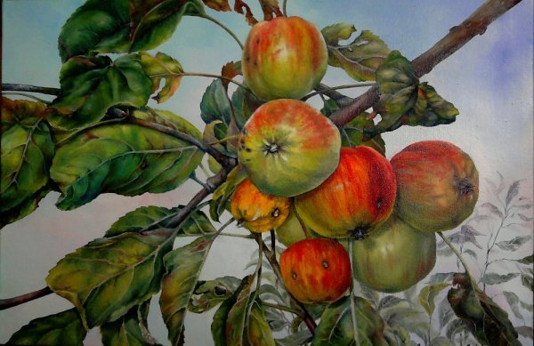 Яблоки акварелью по сырому