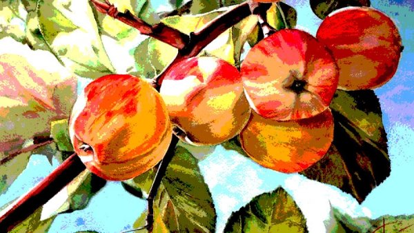 Живопись Катарины Кляйн