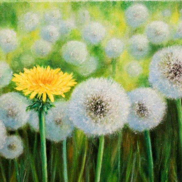 Шишкин одуванчики